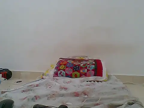hotty_assy webcam