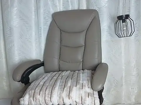 Sienna_musee webcam