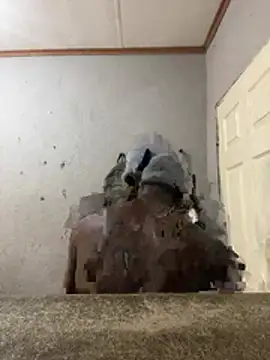 slacy_dickson2