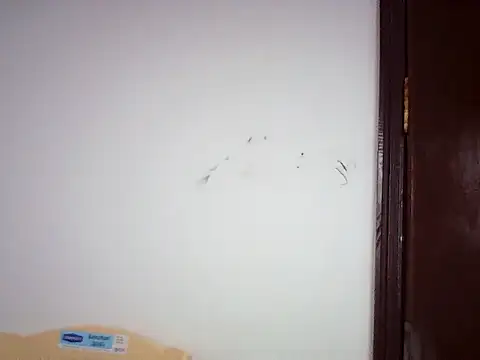 PreggoBeauty webcam
