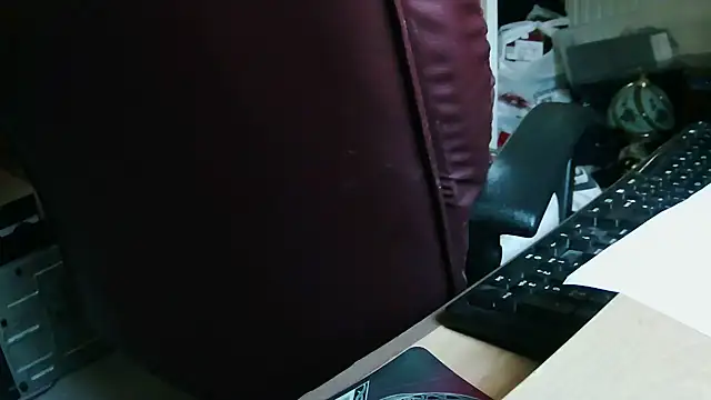 dirtyharry2022 webcam