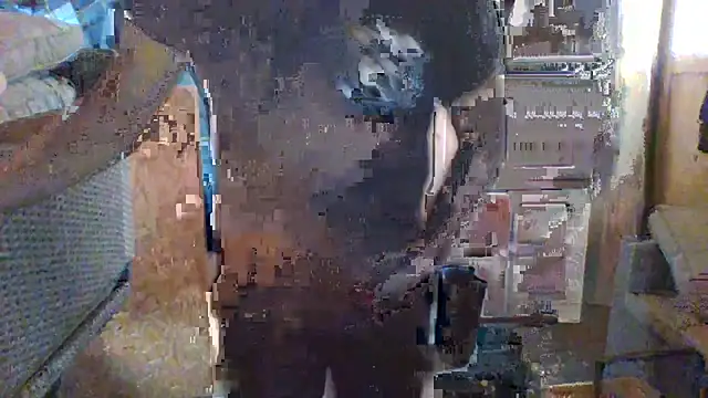 tommy3300 webcam