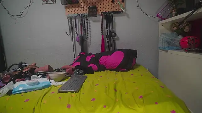 Miniature de la webcam en direct de barbarah_ avec #interactive-toys et #hd
