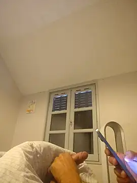 Lebarbu69020 webcam