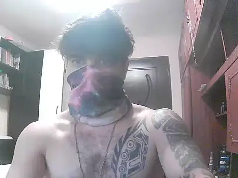 projectdivad webcam
