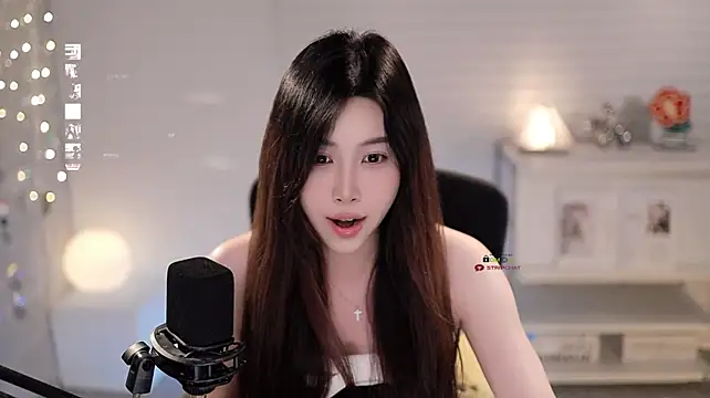 SleepArtist webcam