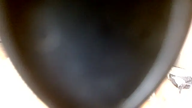 July_rosie webcam