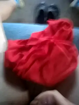 Pavlosss webcam