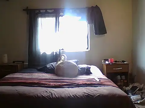 tanobighorse webcam
