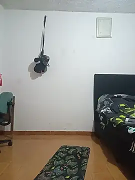 corepio webcam