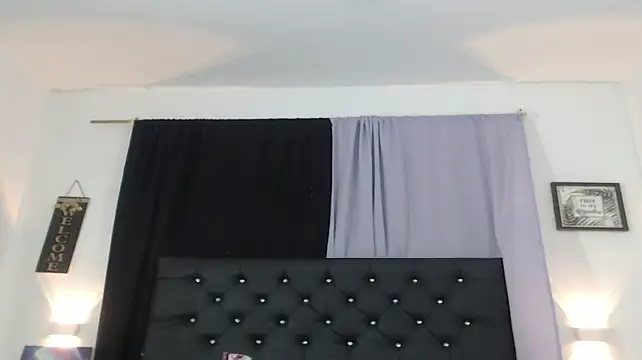 Dennis-Palmer webcam