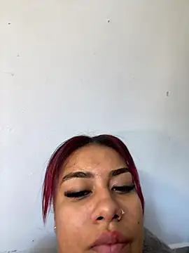 FerAlvax webcam