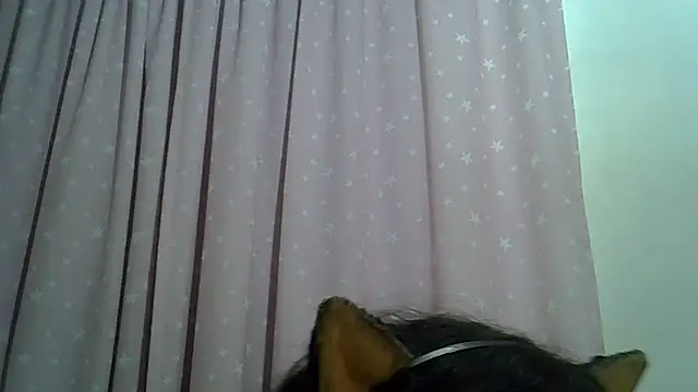 SkinnyKitten webcam