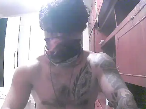 projectdivad webcam
