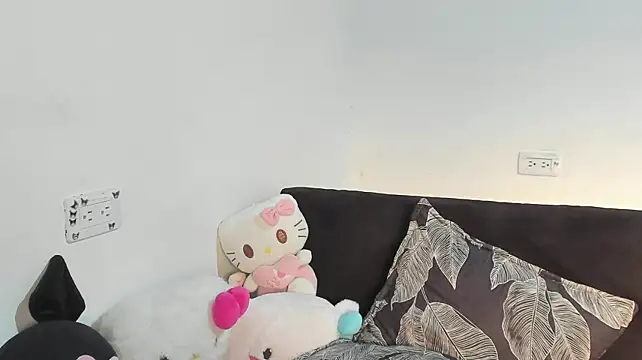 Eirlysx webcam