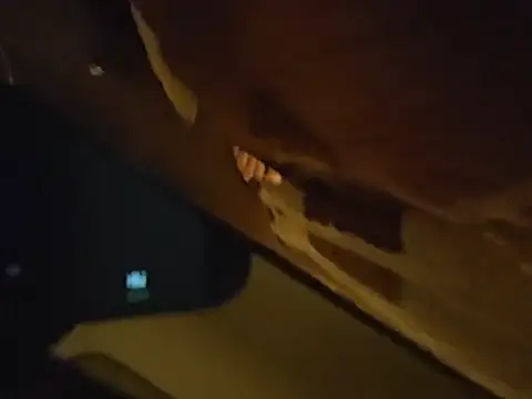 dirtyloud webcam