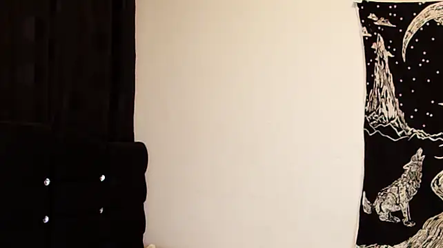 jimmy_class webcam