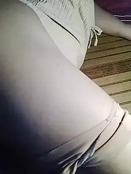 -sansan- webcam