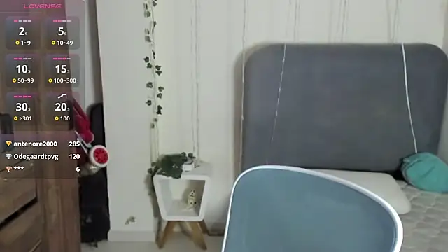 FelixSoft webcam