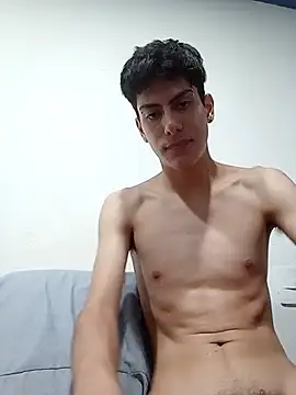 Aj212 webcam