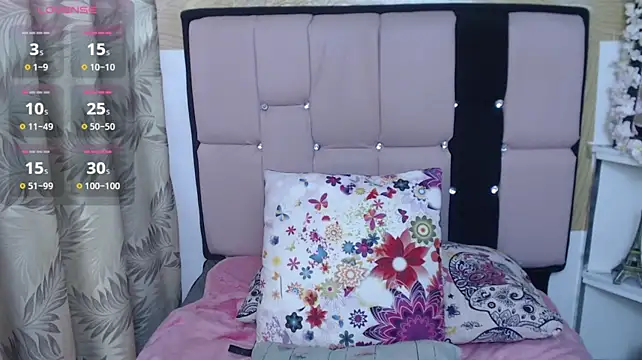 palmer_mIix webcam