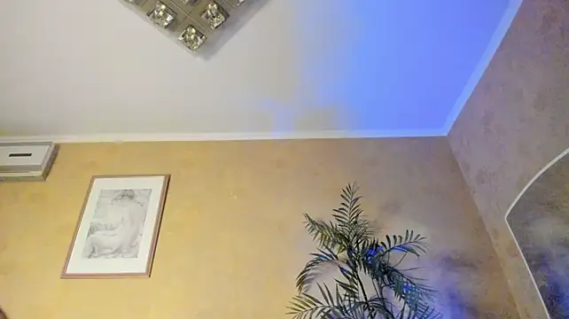 Diamond_D_ webcam