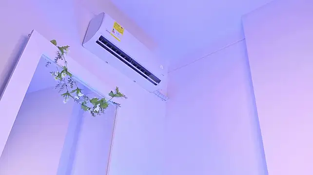 GingerMoon_ webcam