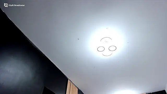 fireflowers_ webcam