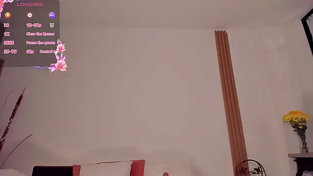 saracavali webcam