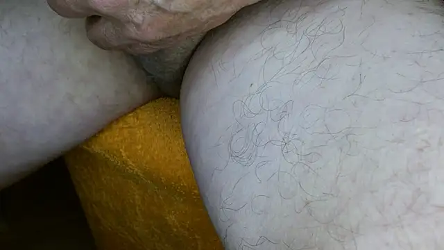 Beetels2026 webcam