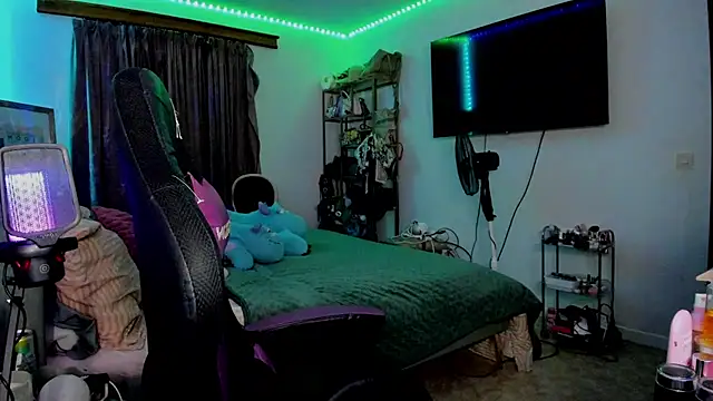 rubix_ts webcam