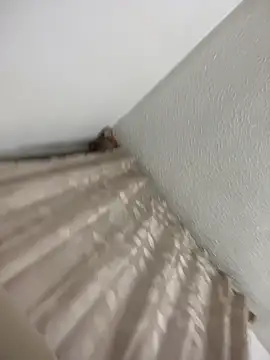Megan_Hillss_ webcam