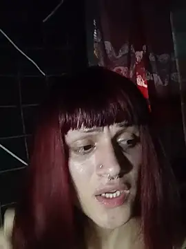 Tutrans12 webcam