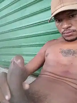 PAUGROSSO18CM webcam