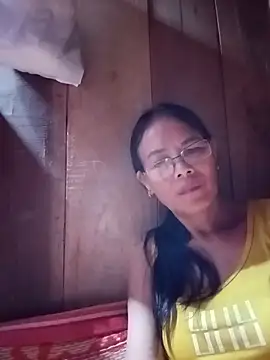 toyo_668 webcam