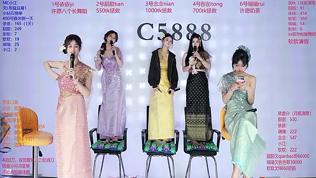 C5888 webcam