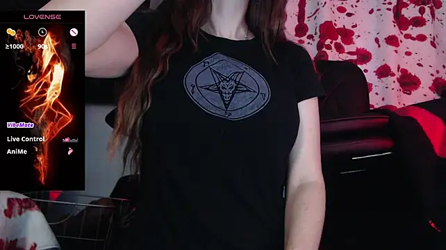 Silentmary webcam