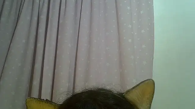 SkinnyKitten webcam