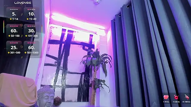 JacoLive webcam
