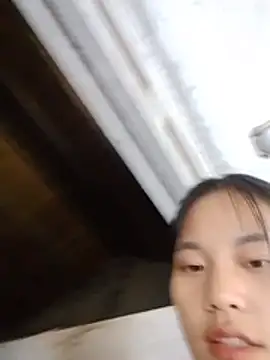 Jellci02 webcam
