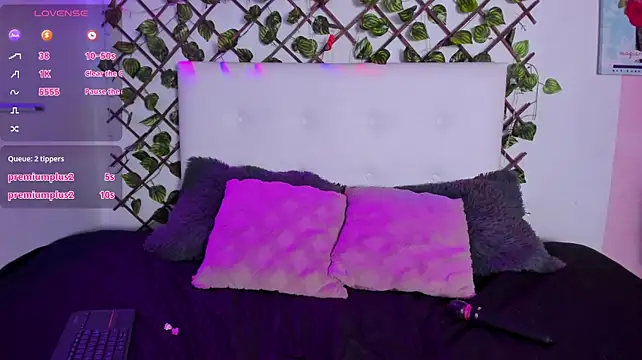 DulceRivers webcam