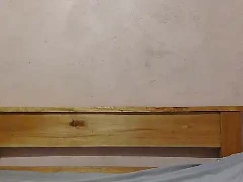 sassy_vee webcam