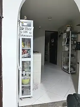 ale_cam webcam