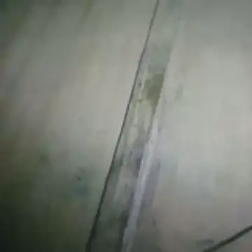 candy9814 webcam