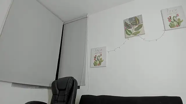 barbie_ds webcam