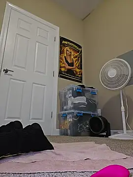 AmethystFoxx
