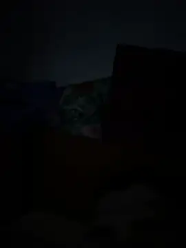mrgabb