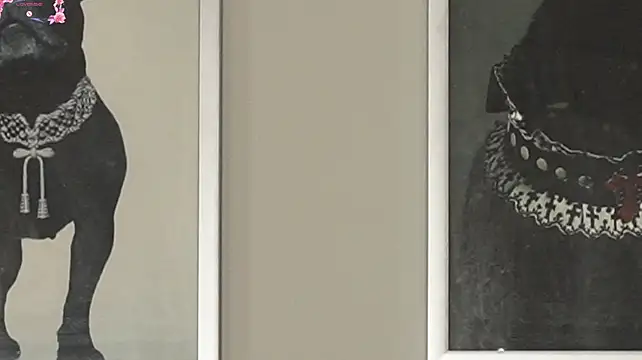 charlotte__grey webcam