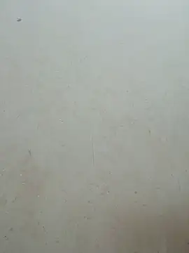 Baoduyen456789 webcam