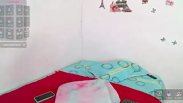 Emelyross webcam